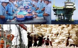 Hà Lan: Thị trường xuất khẩu lớn thứ 3 của Việt Nam ở EU